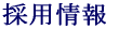 採用情報